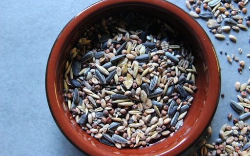 Kasza jaglana – tuczy czy odchudza?